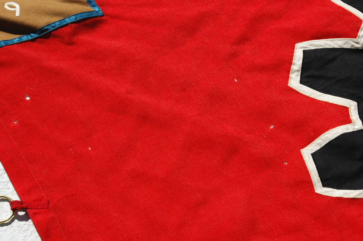 German pre-war DAF Flag Rheinau 9